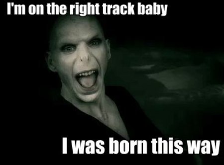 Meme Wars - Σελίδα 23 Voldemort-was-BORN-THIS-WAY-BABY-harry-potter-24306661-450-332