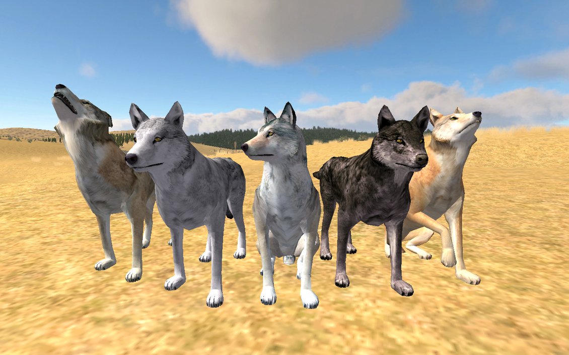 Wolfquest ein wirklich tolles Spiel  Wolves-wolfquest-24430836-1130-706