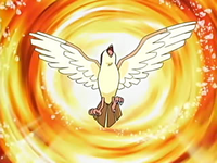 Pokemons de Kanto! EP459_Pidgeot_de_Solidad