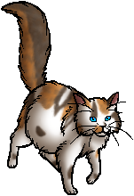 Die WindClan-Chroniken Poppyfrost.queen