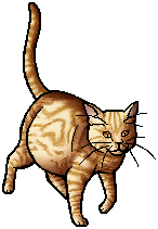 Die WindClan-Chroniken Speckletail.queen