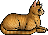 Die WindClan-Chroniken Oatwhisker_%28WC%29.elder