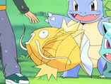 Los pokemon shinys 157px-EP368_Magikarp_Dorado