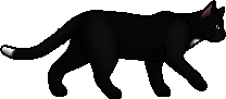 Die WindClan-Chroniken Ravenpaw.loner