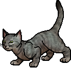 Die WindClan-Chroniken Runningbrook.apprentice