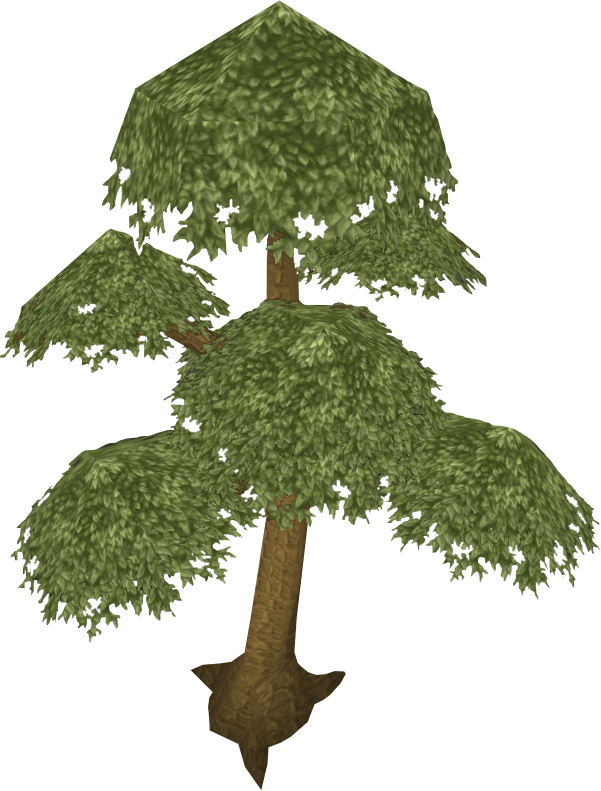 1-99 Woodcutting guide Yew_tree_(Historical)