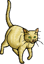 Die WindClan-Chroniken Dawnstripe.queen