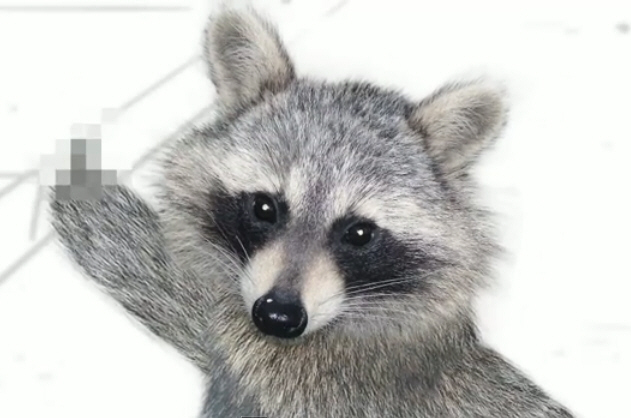 Es Oficial: Raccoon Squad Raccoon_5