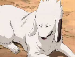 Inizuka Akamaru Akamaru