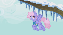 Rainbow Shine imagens 201px-Rainbowshine_looks_at_the_icicles_on_the_trees_S1E11