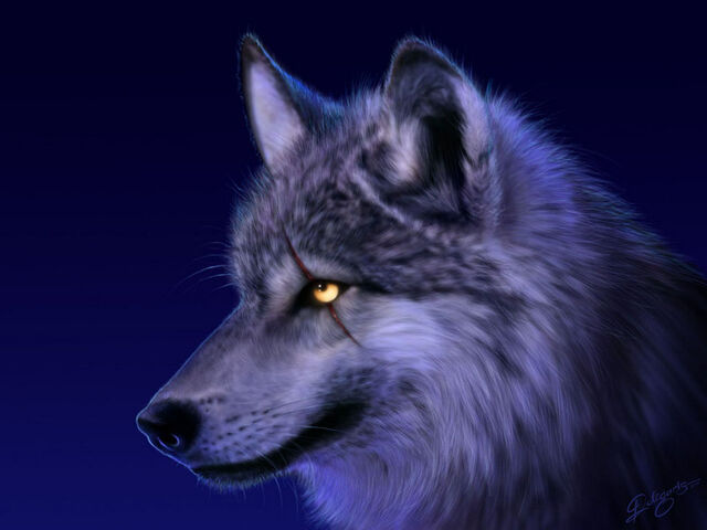 [13. boss] 640px-Wolf