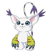 Dark Niwa 180px-Gatomon_ohne_Ring