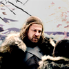 RAYNER ™ ♦ winter is coming Eddard-Ned-Stark-lord-eddard-ned-stark-24585899-100-100