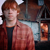 Ronald Weasley Ron-ronald-weasley-24559173-100-100