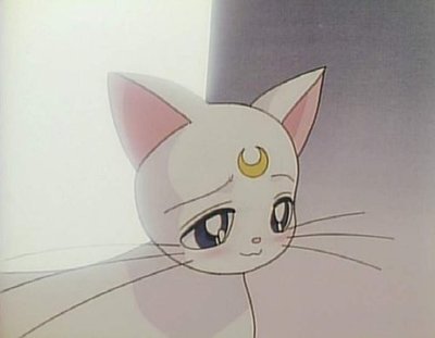 [Picture] Artemis Artemis-sailor-moon-24898270-400-311