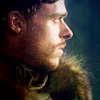 Maison Stark 1/8 Robb-robb-stark-24907768-100-100