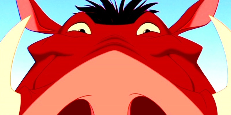 encontré un error en pumba  Pumbaa-the-lion-king-25952551-800-400