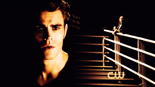 Don't tempt me, little wolf. / klaus and hayley - Page 4 Stelena-stefan-and-elena-26211376-500-281