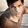 Les Admins  -Taylor-Lautner-taylor-lautner-26663517-100-100