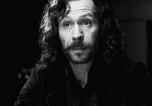 Helena Goldlion & Sirius Black SB-sirius-black-28771963-500-350