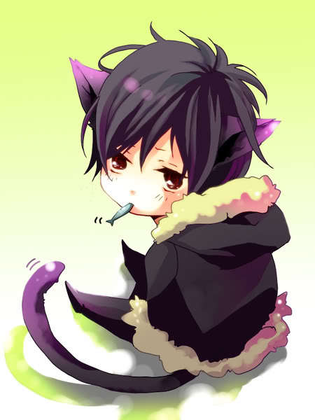 Wünsch dir was^^ - Seite 2 Neko-Izaya-1izaya-orihara-29144899-450-600