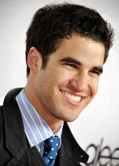 L'Album De Matt - Page 2 Darren-darren-criss-31421994-500-700