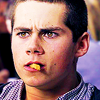 Carnet de Mallory D. Queen  Dylan-dylan-obrien-31543924-100-100