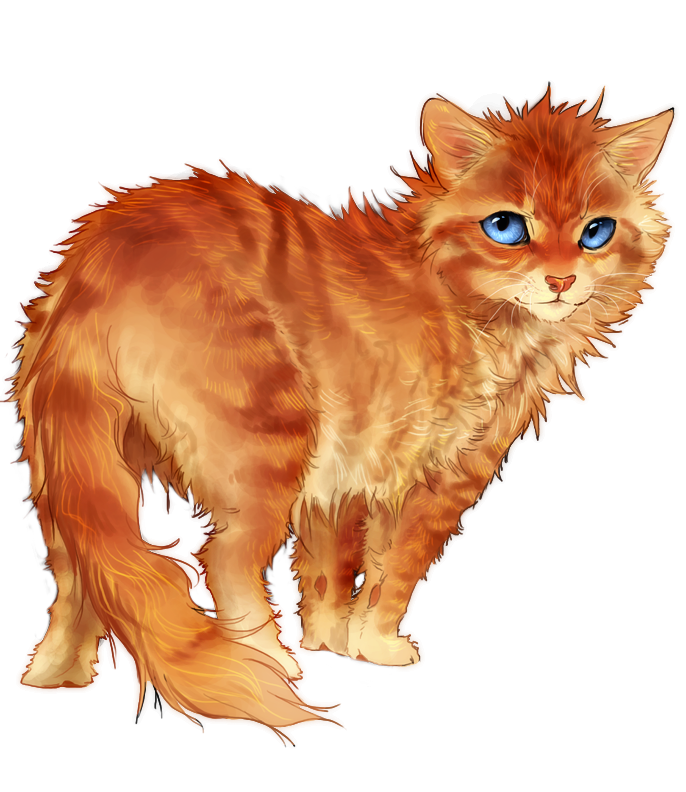 Thunderkit of Waterclan Raggedstar-forever-warriors-cats-31758566-686-792