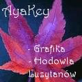 Darmowa grafika od AyiKey 7192701c80521214