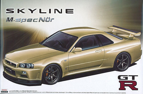 Aoshima Skyline M.spec NUR!! GTR-vi