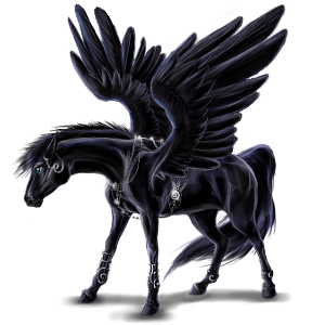 Raven - pegaz Seneki Black-Pegasus-Coats-the-new-howrse-32623068-300-300