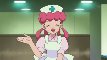 Centro Pokémon de Pewter Nurse-Joy-girls-of-pokemon-32920705-342-192