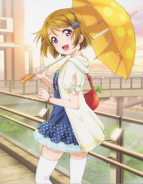 صور انمي love laive Hanayo-Koizumi-love-live-school-idol-project-34731495-499-640