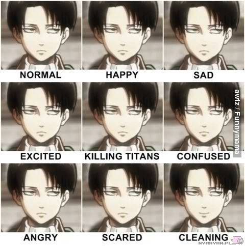 Plauderecke - Seite 8 Levi-levi-rivaille-shingeki-no-kyojin-35399362-480-483