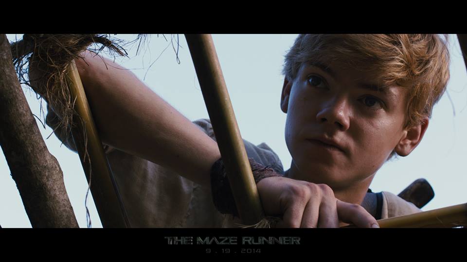 //CHIT CHAT TOPIC - Page 21 The-Maze-Runner-Film-image-the-maze-runner-film-36659565-960-540