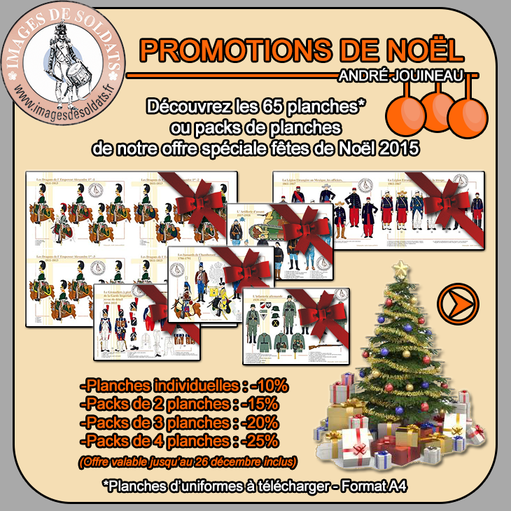 PROMOTIONS DE NOEL 2015 Visuel-noel-2015