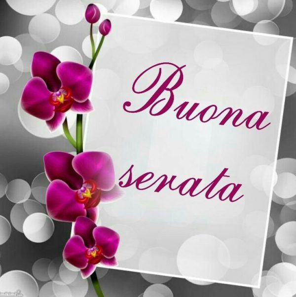 BUONGIORNO FORUM!!!!  Saluti lampo - Pagina 2 Una-Buona-Serata-Frasi-Immagini