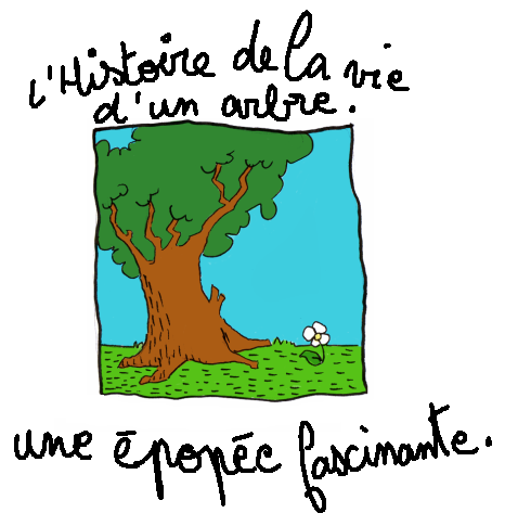 Une pope fascinante. Arbre