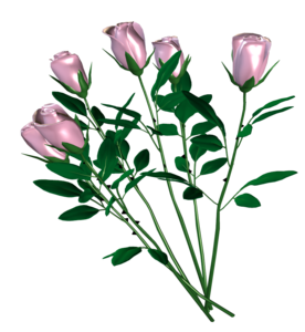 ** Rose ** - Pagina 10 0_c5e4b_df0121be_M