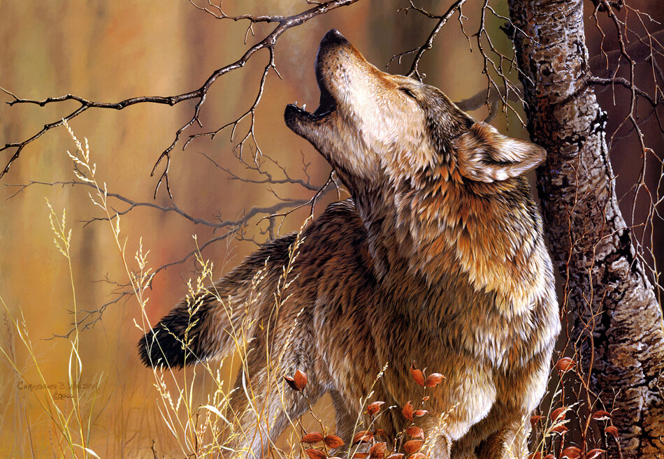  ¡¡¡ Bailando con lobos !!! - Página 3 0_a445d_ae46f845_XXL