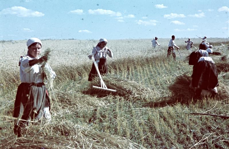 Fotos de un corresponsal de guerra húngaro en 1942 0_b6133_5cf149e2_orig