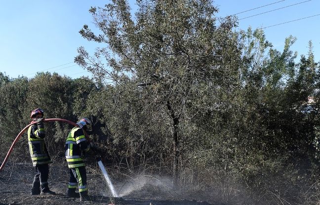 petites pensées a tous nos amis des Bouches du Rhone 648x415_french-firemen-spray-water-near-trees-in-les-pennes-mirabeau-north-of-marseille-on-august-11-2016