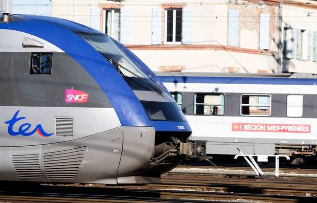 Midi-Pyrénées: La circulation des TER sera perturbée mardi 648x415_ter-a-la-gare-matabiau-9-11-11-toulouse