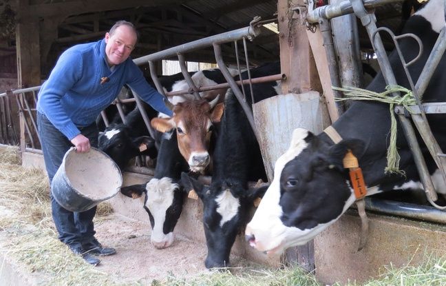 Colère noire des exploitants agricoles 648x415_yves-fromentel-56-ans-agriculteur-biologique-installe-pecy-seine-marne