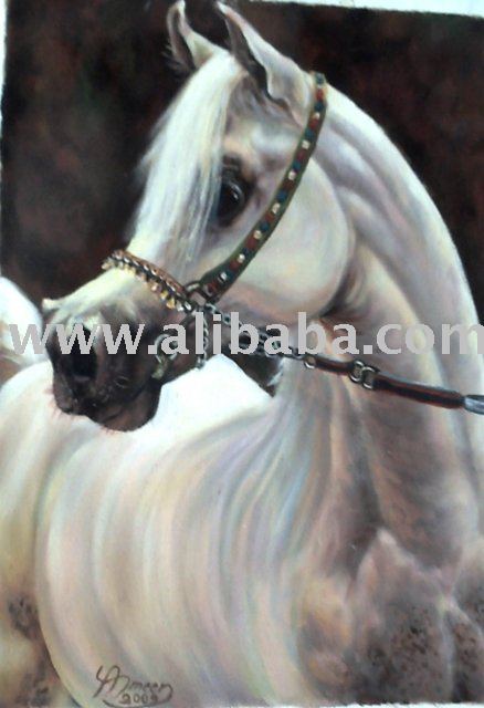 Inscipciones caballos. White_arabic_horse