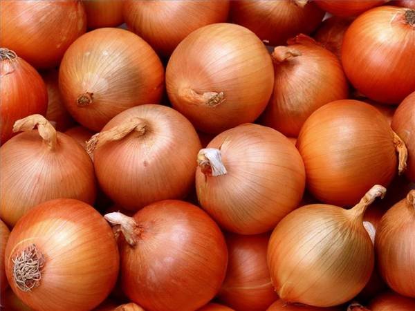 من 1 الى 4 واختار لك عضو يقشر بصل  - صفحة 5 Red_Big_Onion_Red_Small_Onion_Peeled_Onion_Non_Peeled_Onion_Banglore_Rose_Onion_Bulk_Podisu_Onion_Satikuwar_Onion