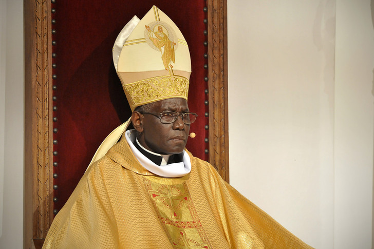 Cardinal Sarah : Beaucoup refusent de regarder en face l’œuvre d’autodestruction de l’Eglise Cardinal-Robert-Sarah-prefet-Congregation-pour-culte-divin-discipline-sacrements_0_730_485