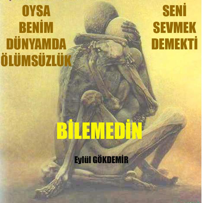 resimli aşk şiiri Hayalleringemisi1_olumsuzask_copy