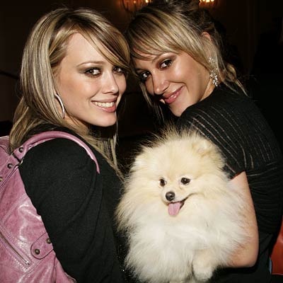 Hilary ve Ablas Haylie Hilarydufffanclub_hilary-duff-celeb-pets-400