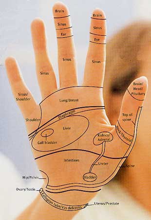 Hand/brain spacial relationships? Rightpalm190202_310x450